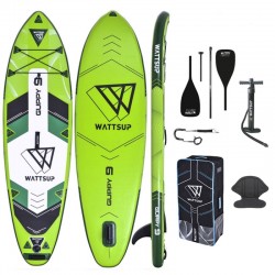 copy of SUP paddle...