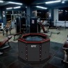 Netspa UFC Octogone IceBath NetSpa