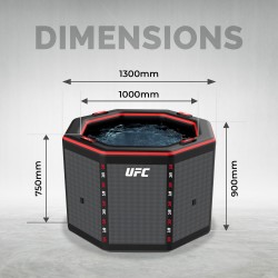 Netspa UFC Octogone IceBath NetSpa