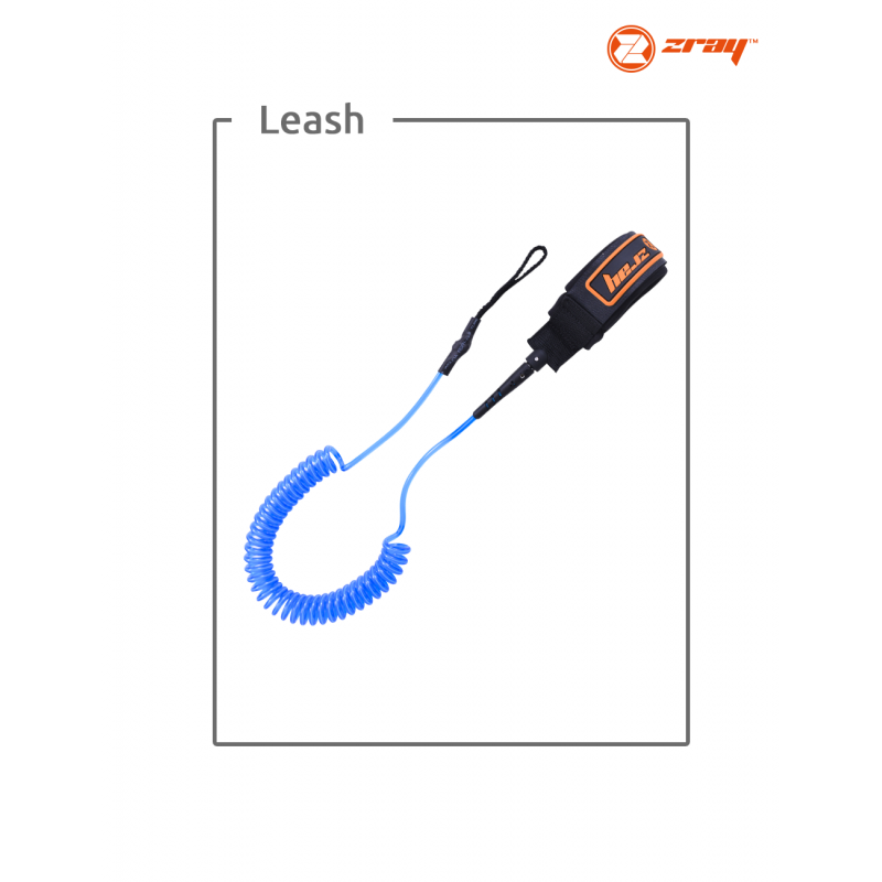 Leash Torsadé Zray Z